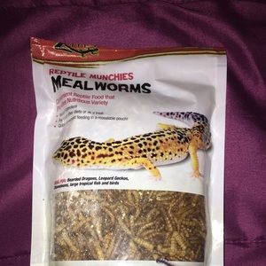 Freeze dried mealworms for reptiles